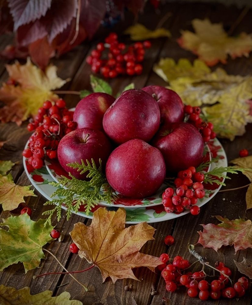 Photograph by Алена Ходатович