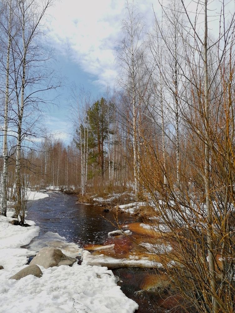 Весенняя река