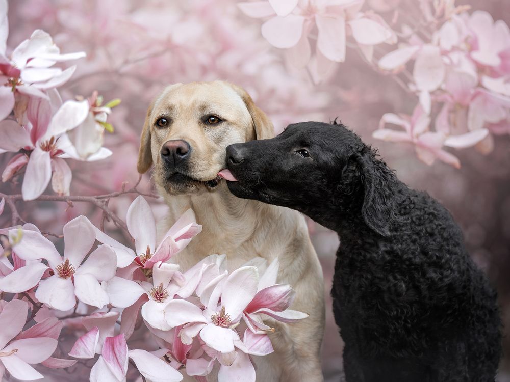 Photograph by Dorota Hnatová