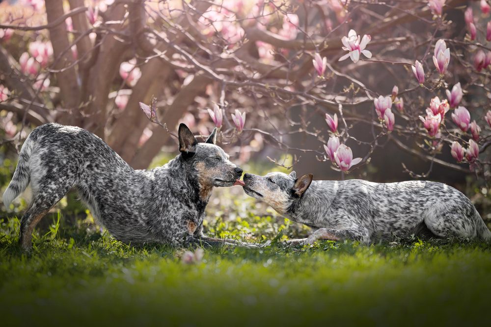 Photograph by Dorota Hnatová