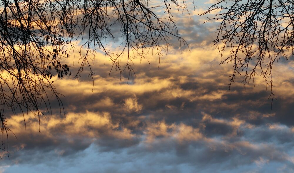 Photograph by Евгения Нестеренко