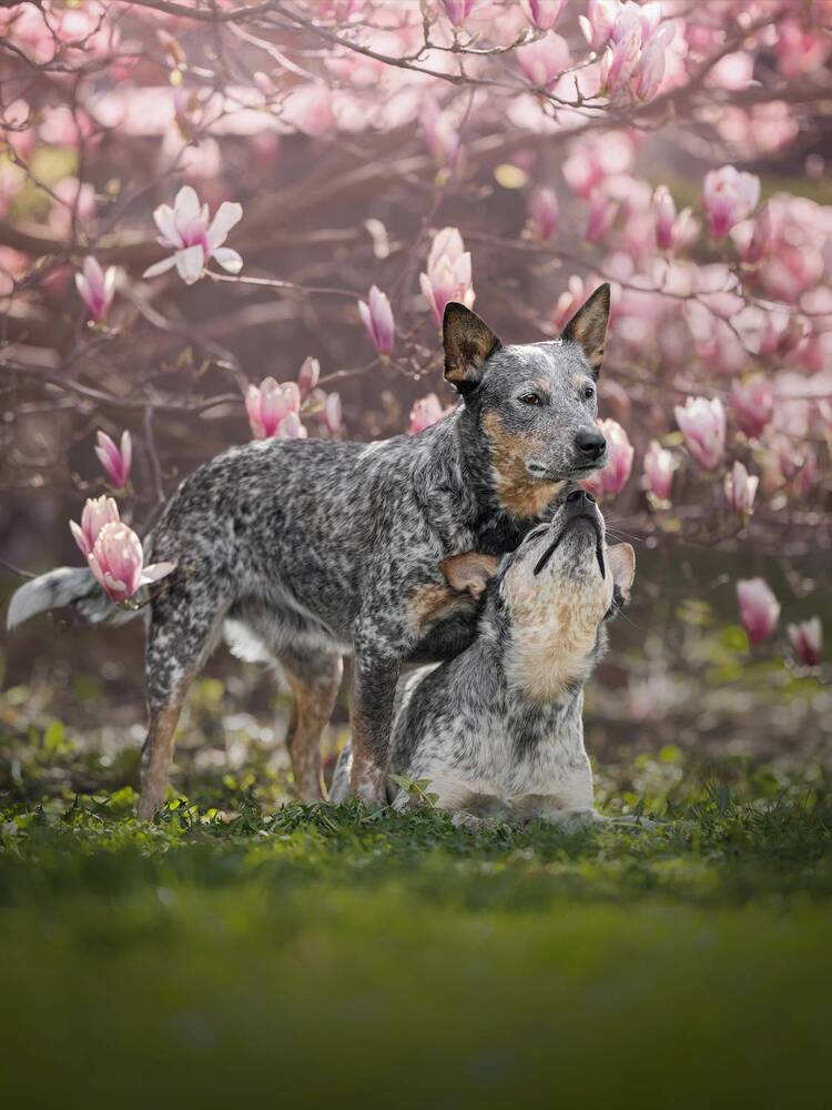 Photograph by Dorota Hnatová