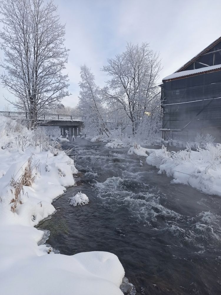 Photograph by Таланова Алёна