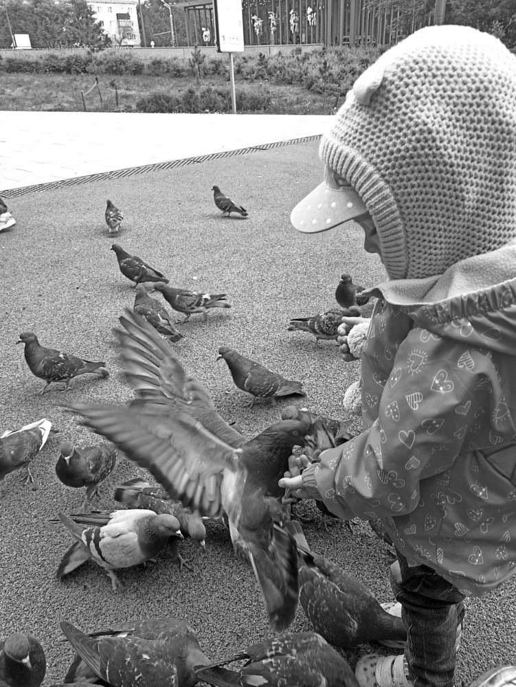 Photograph by Дарья Улюсова