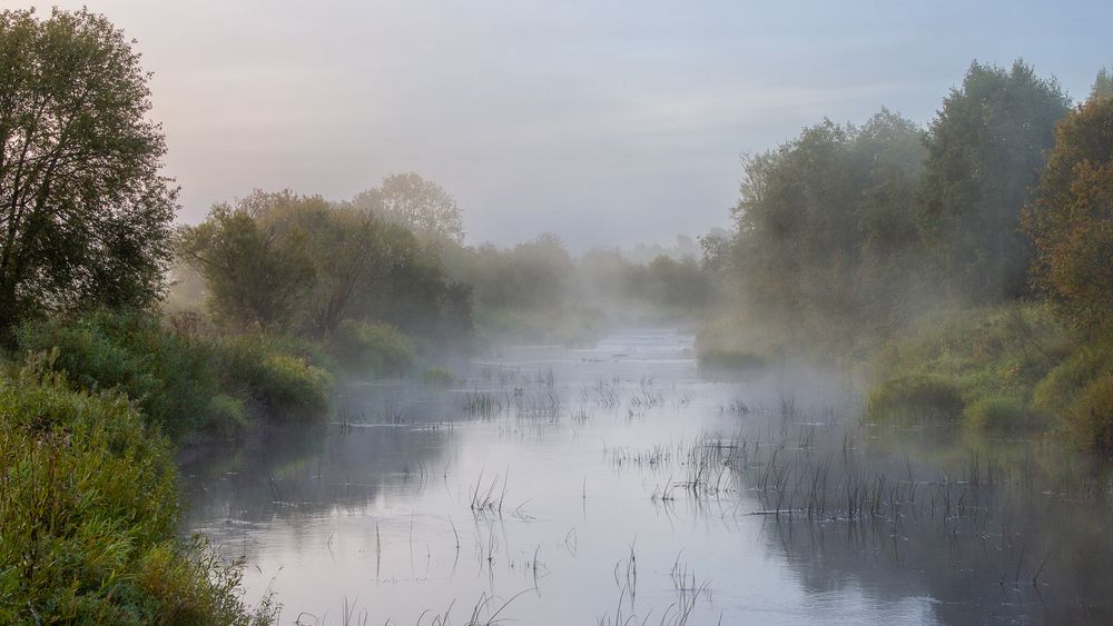 Фотография автора Комарова Вера
