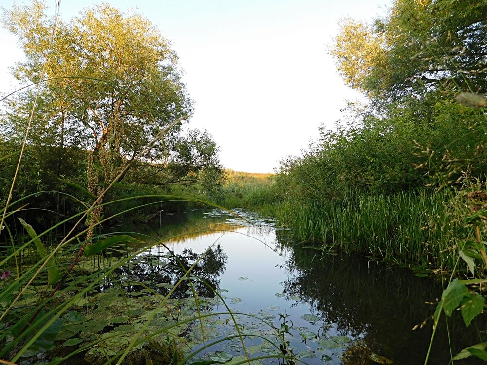 Photograph by Игорь Галеев