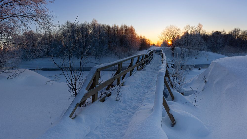 Фотография автора Комарова Вера