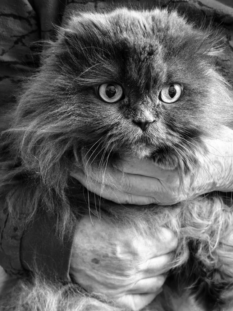 Photograph by Юлия Жереченко