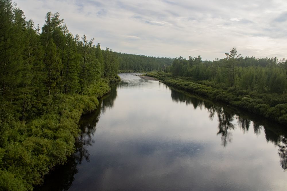 Фотография автора Пешков Егор