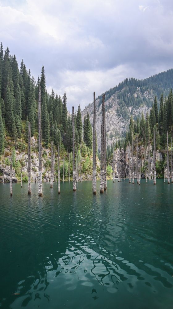 Photograph by Никита Нечаев