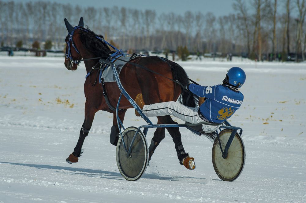 Photograph by Юрий Кухаришин
