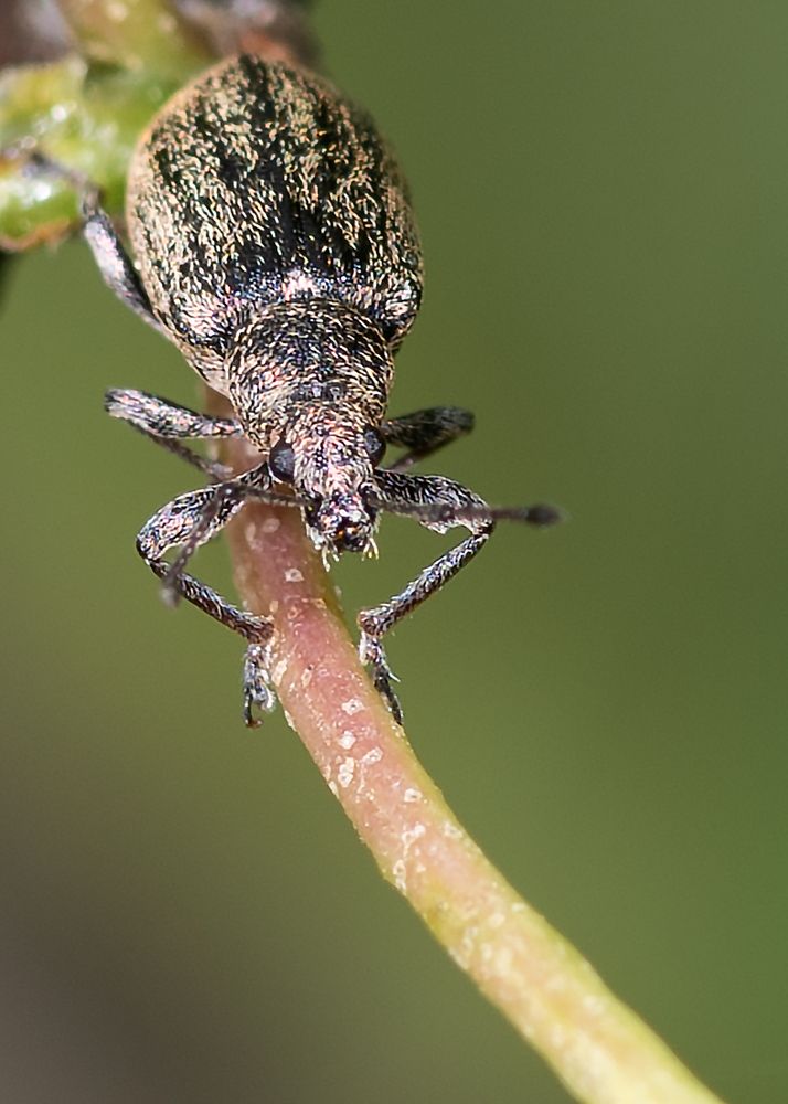 Photograph by Victor Stepanov