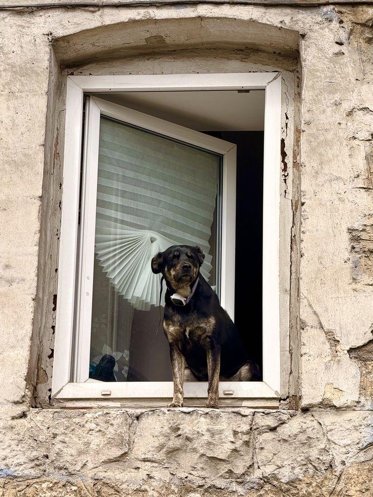 Photograph by Евгения Немкова