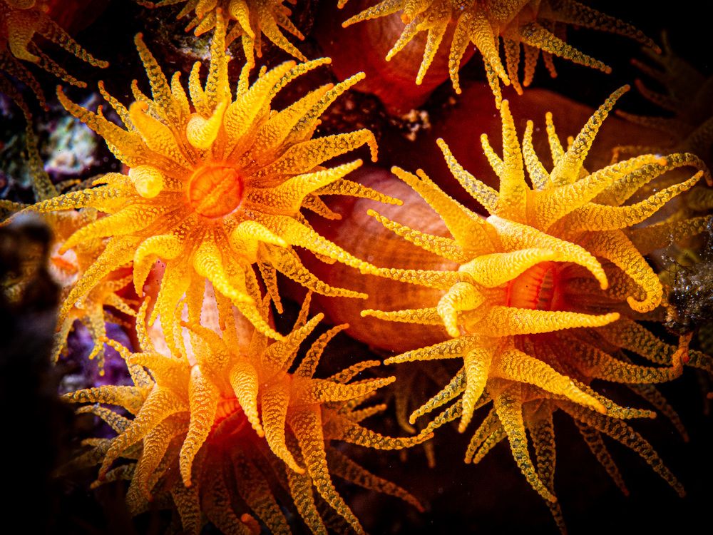 Photograph by Plakida Alexander