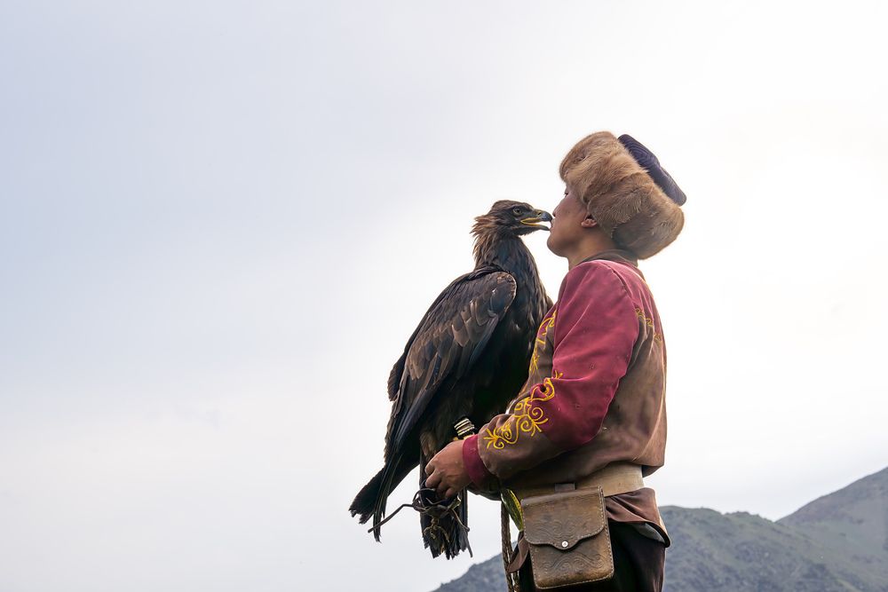 Eagle Trainer