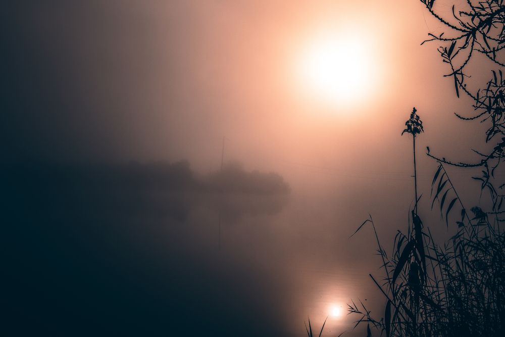 Photograph by Павел Матчугов
