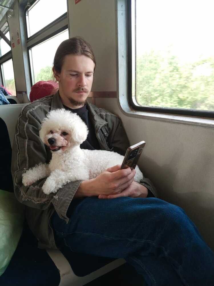 Photograph by Nikita Zorin