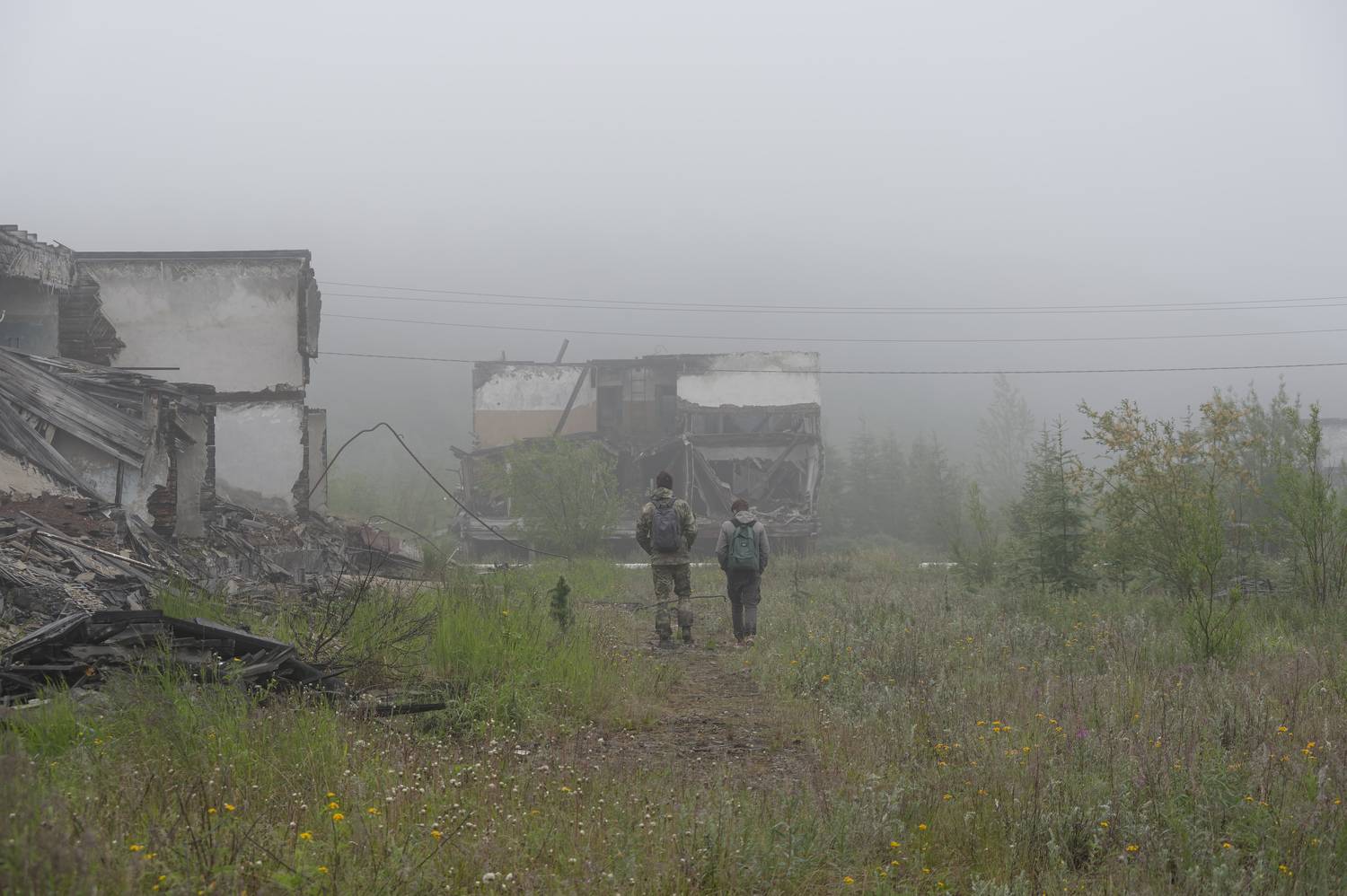 Фотография #13282571