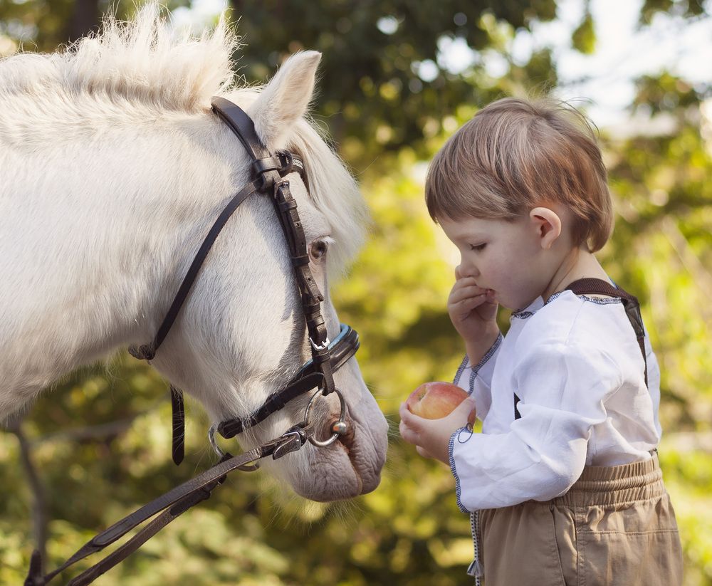 Даня и Марчелло