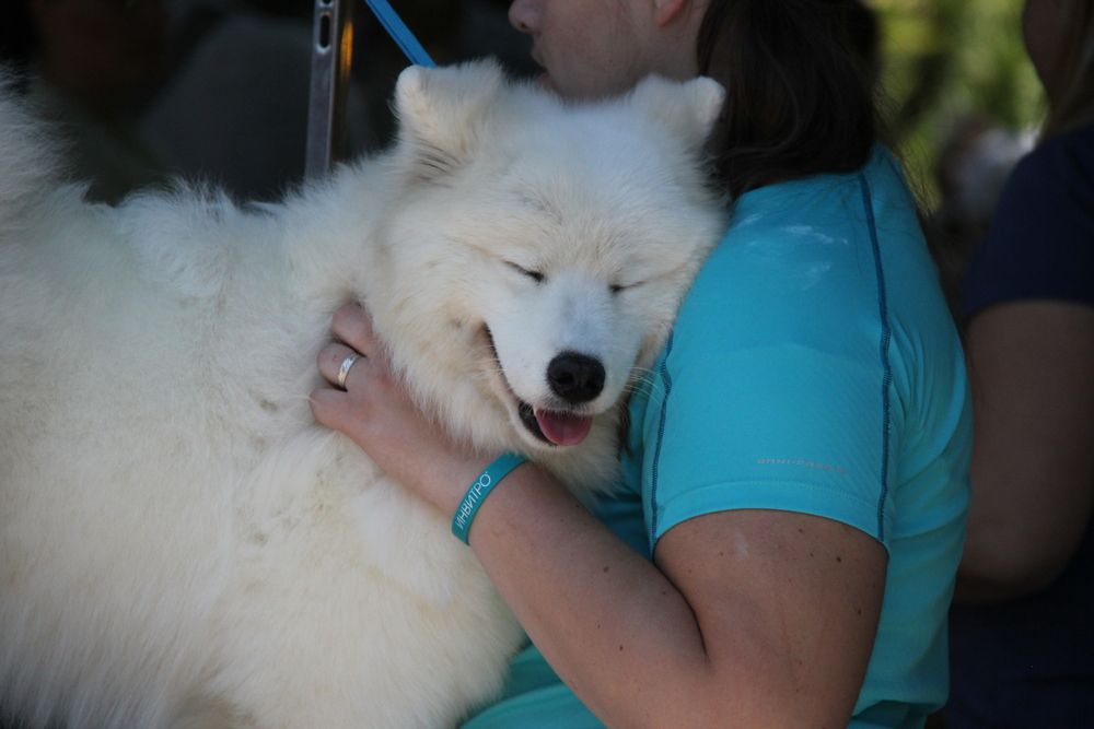 Photograph by Nikita Zorin