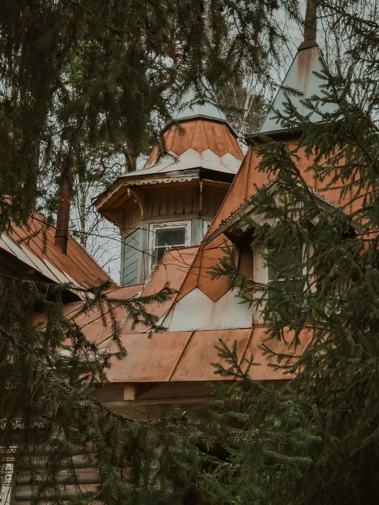 Фотография автора Анастасия Терехова
