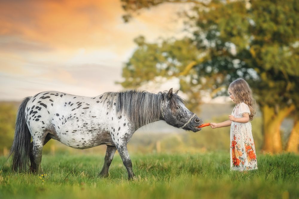 Photograph by Aurora Minna Kiss