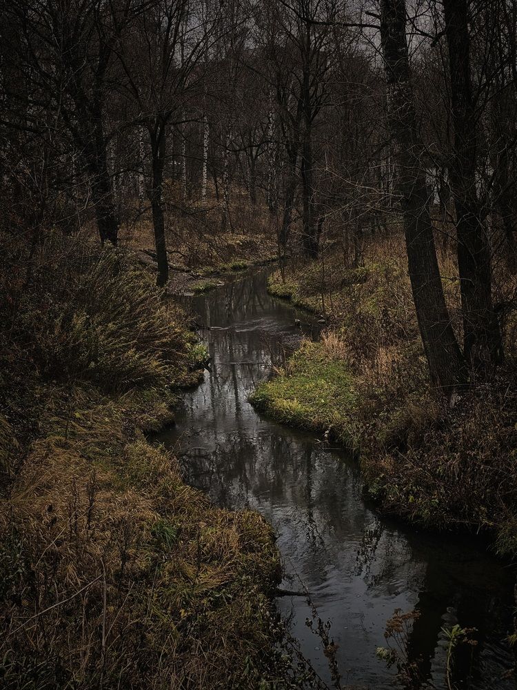 Photograph by Ольга Захарикова