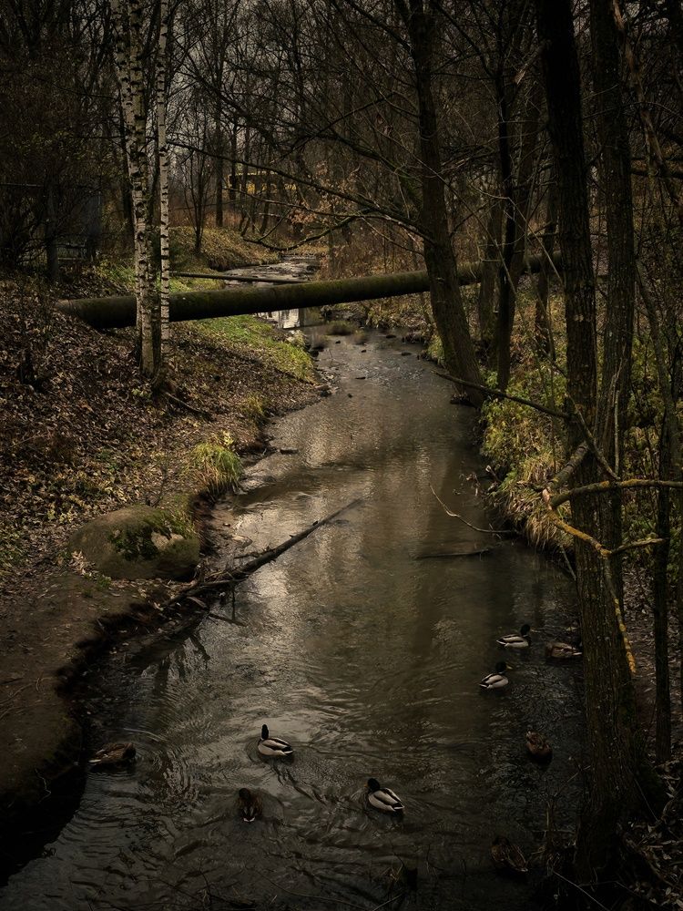 Photograph by Ольга Захарикова