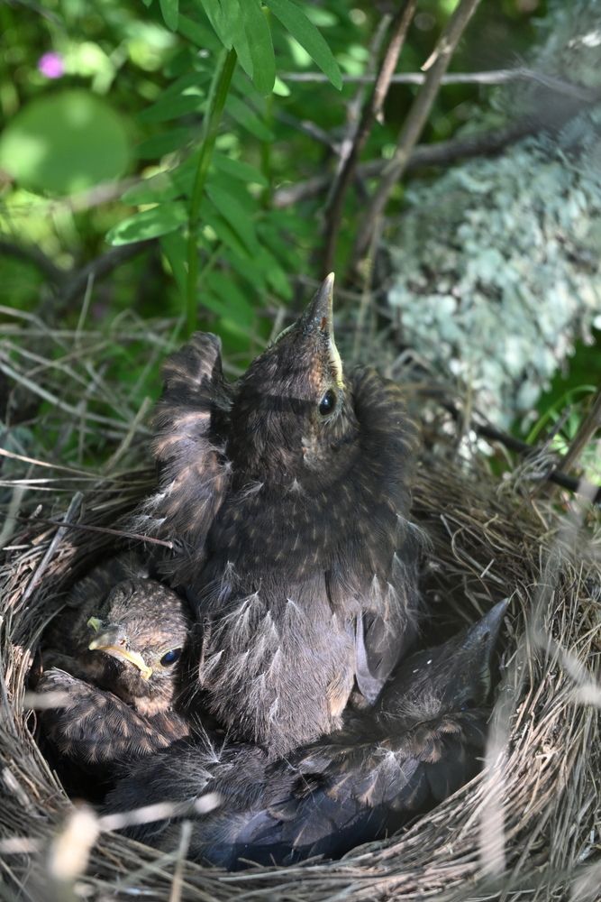 Photograph by Maria Vittoria Amoruso