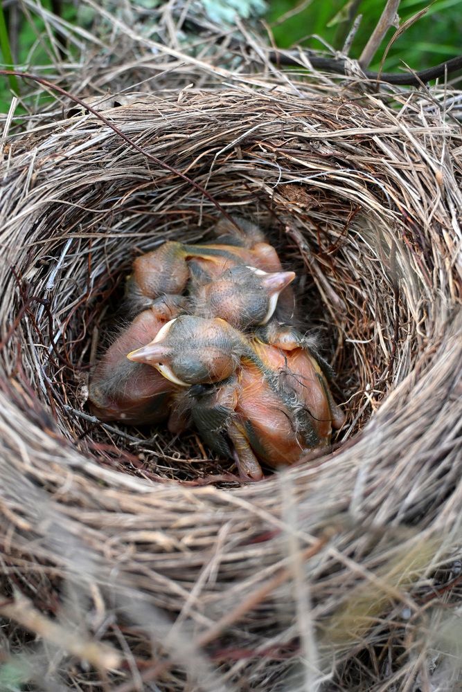 Photograph by Maria Vittoria Amoruso