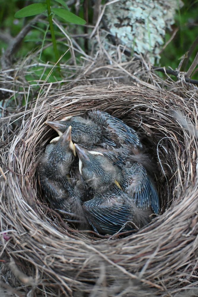 Photograph by Maria Vittoria Amoruso