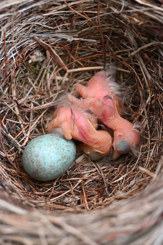 Photograph by Maria Vittoria Amoruso