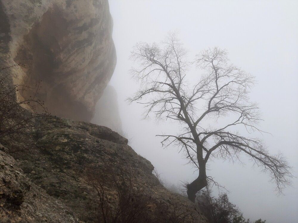 Photograph by Галина Глазкова