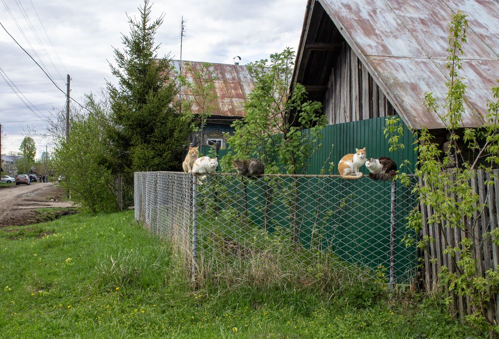 Photograph by Оксана Леонтьева