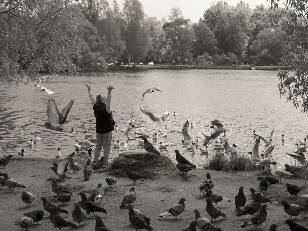 Photograph by Марианна Браун