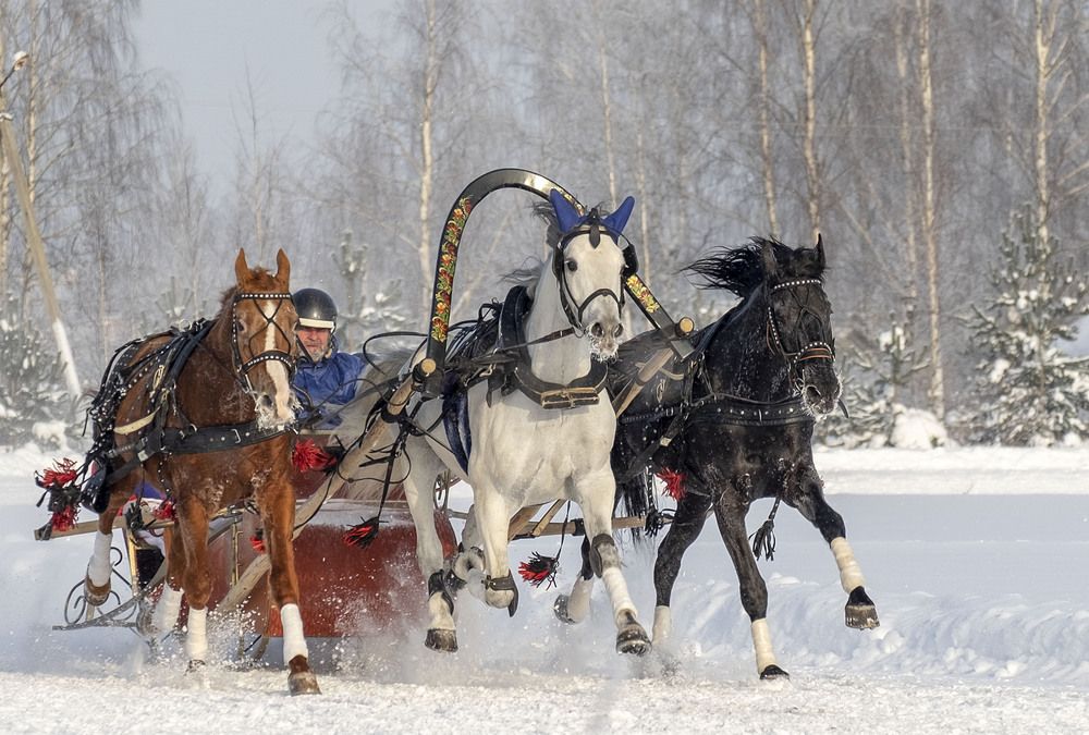 Photograph by Елена Маракулина
