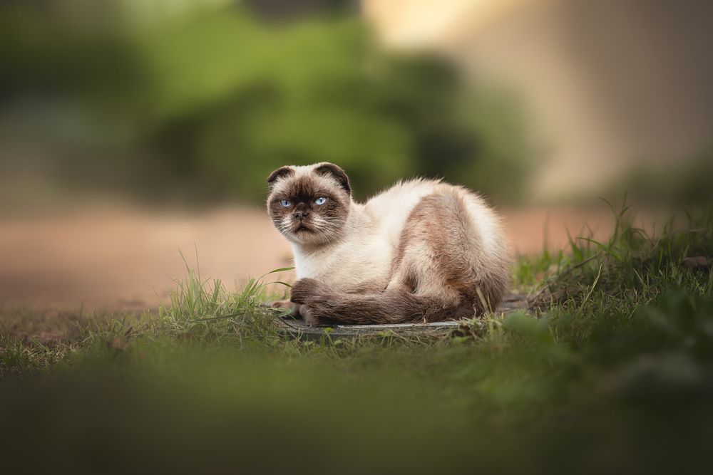 Photograph by Ирина Голомб