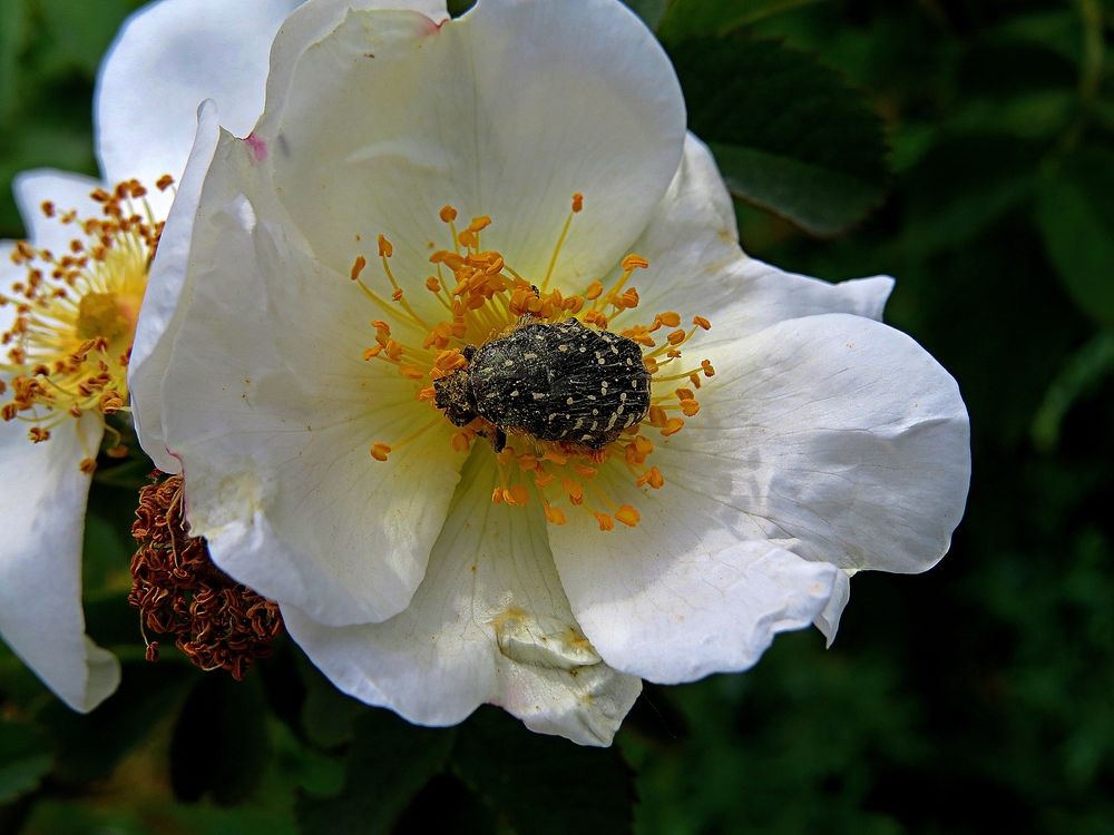 Photograph by Фартушняк Сергей