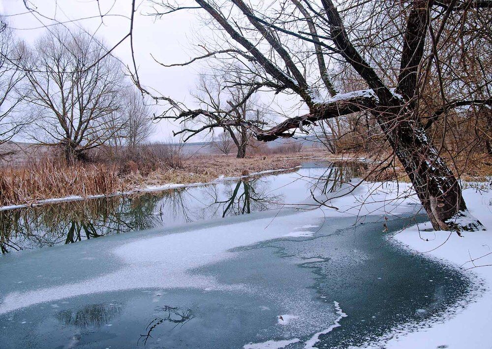 Начало зимы
