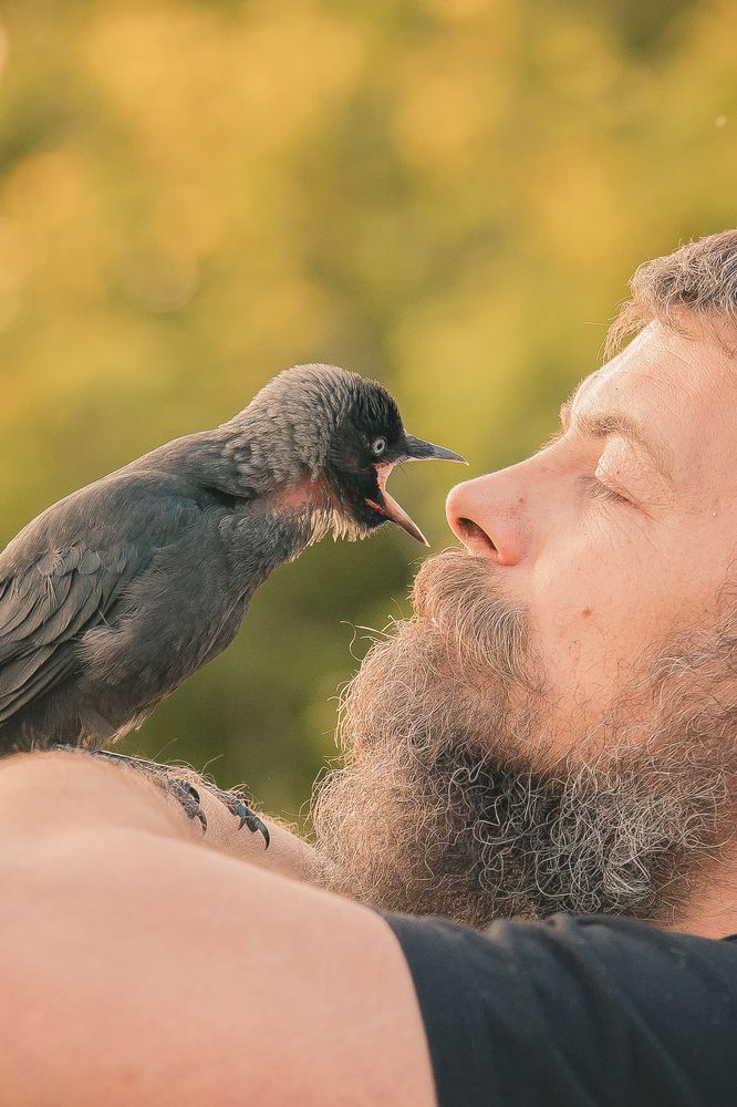 Photograph by Лена Кощеенко