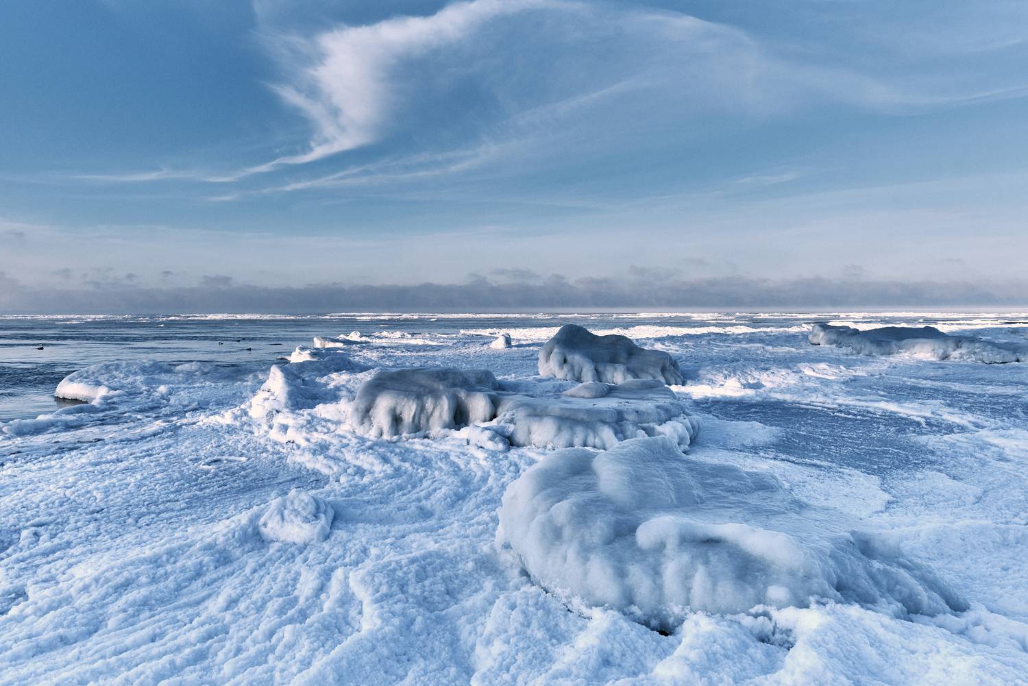 Фотография #13283243