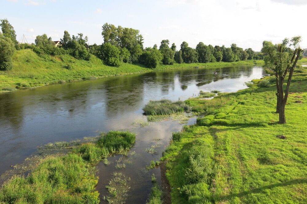 Photograph by ЭЛЬМИРА  ИСМАИЛОВА