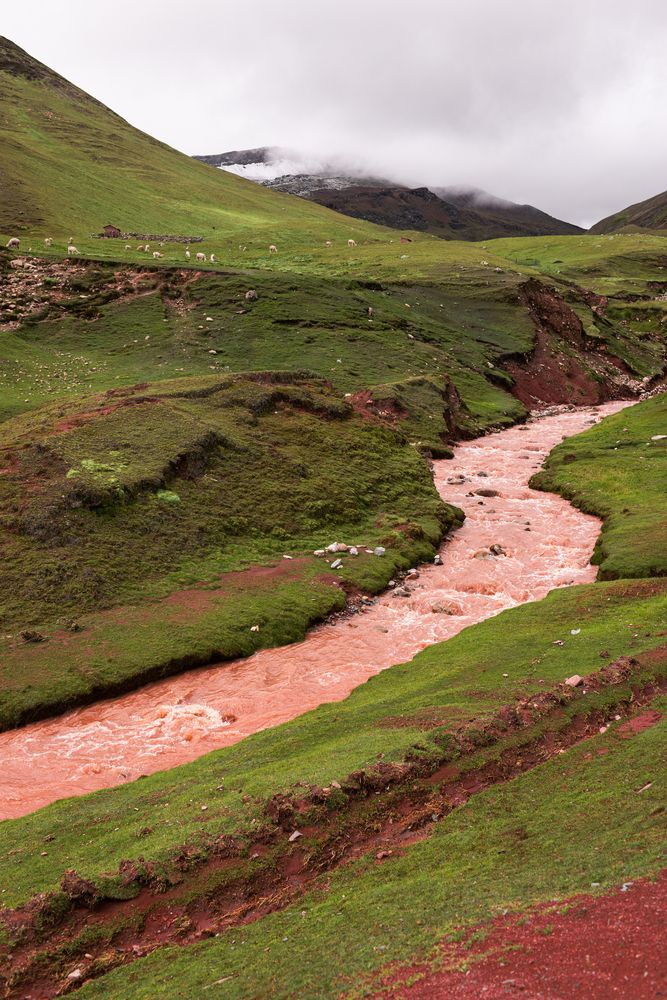 Photograph by Валерия