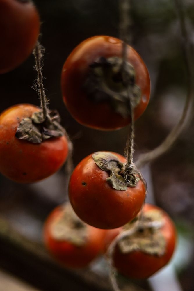 Photograph by Руслана Ковалевская