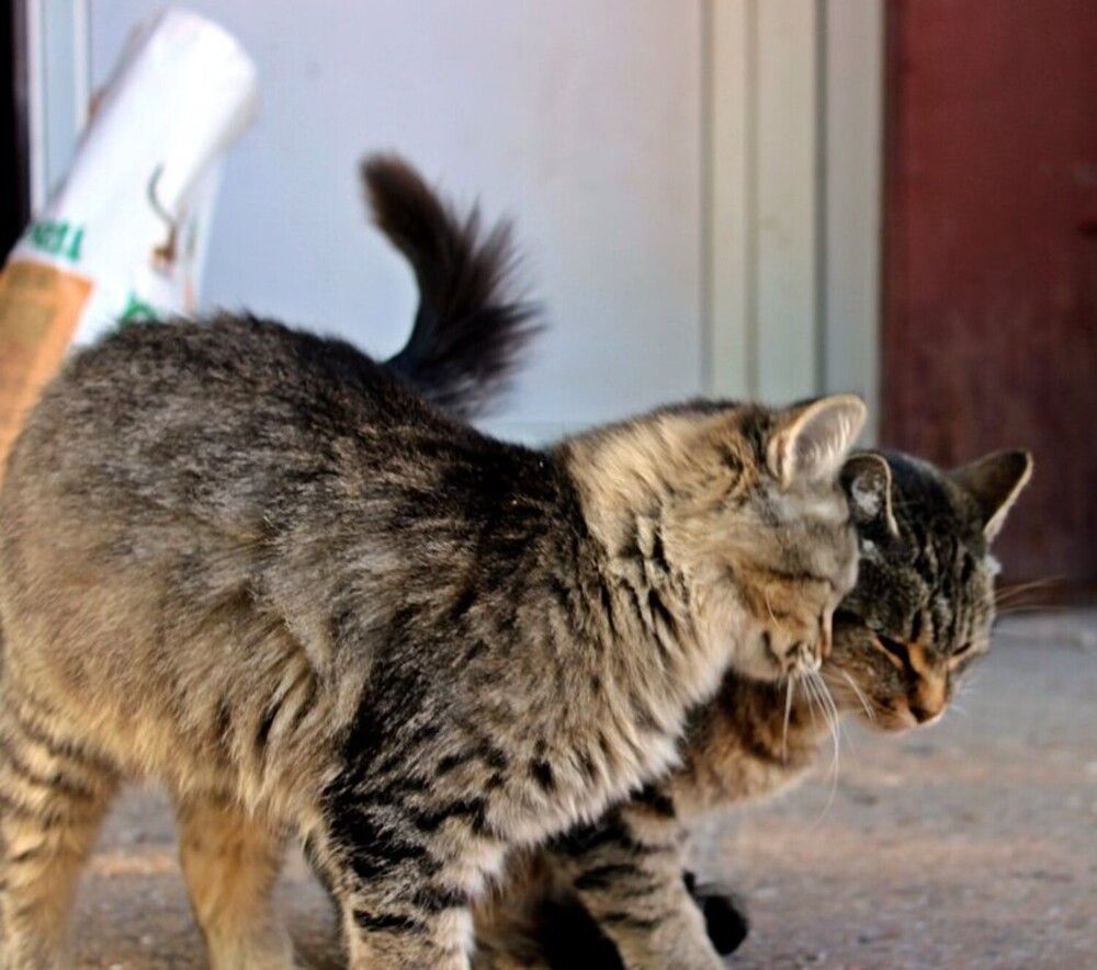 Photograph by Татьяна Пальчикова