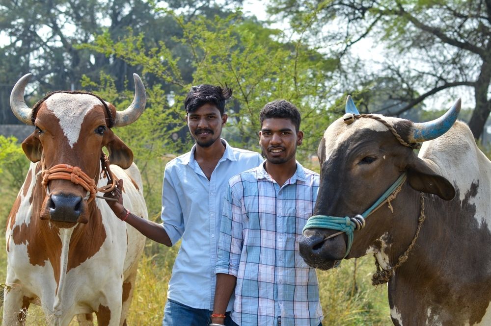 Фотография автора Oxana Ukhlina