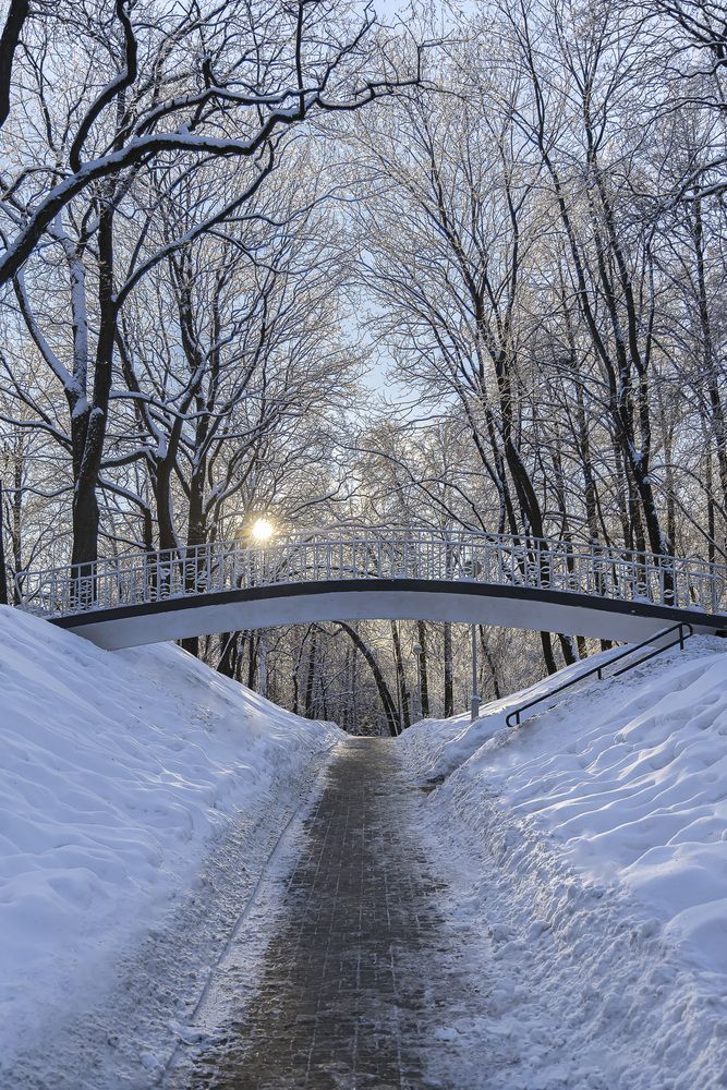 Фотография автора Вадим Копилец
