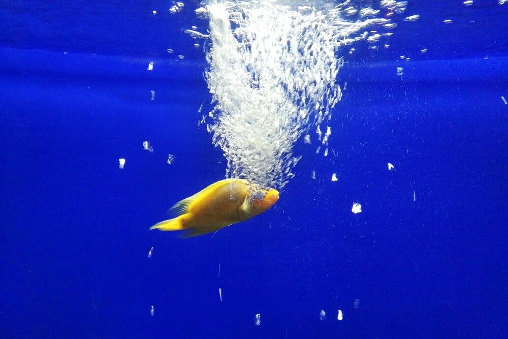 Photograph by Валерия
