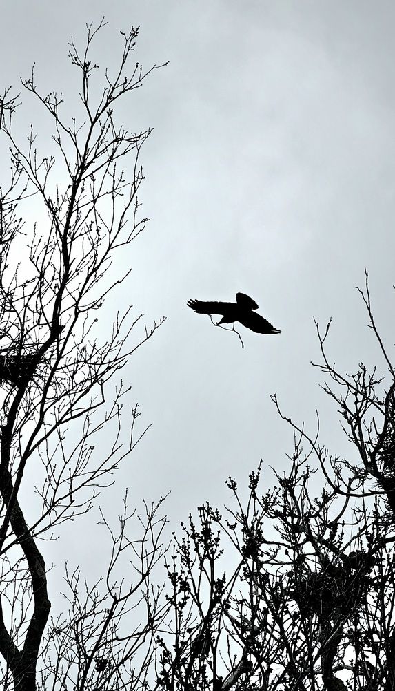 Photograph by Пирог Борис