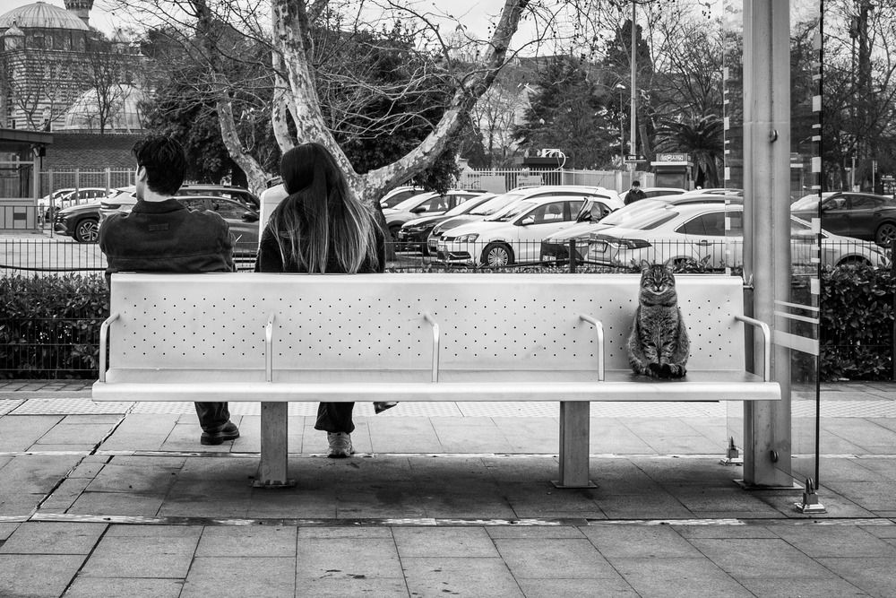 Photograph by Esra Erdoğdu